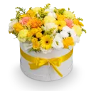 Box žlutých květin